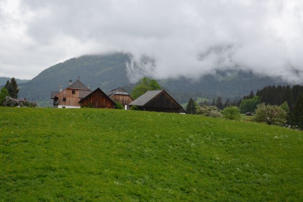 Doris Musill's Lebensfreude Hotel (Bad Mitterndorf)